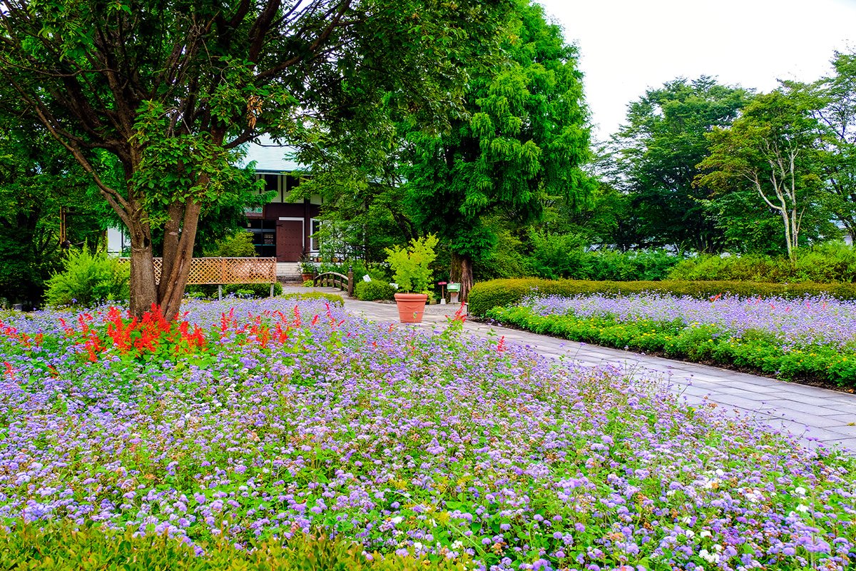 🏯 옛 시부사와 저택 나카노이에 (큐 시부사와테이 나카노이에) 이미지 9
